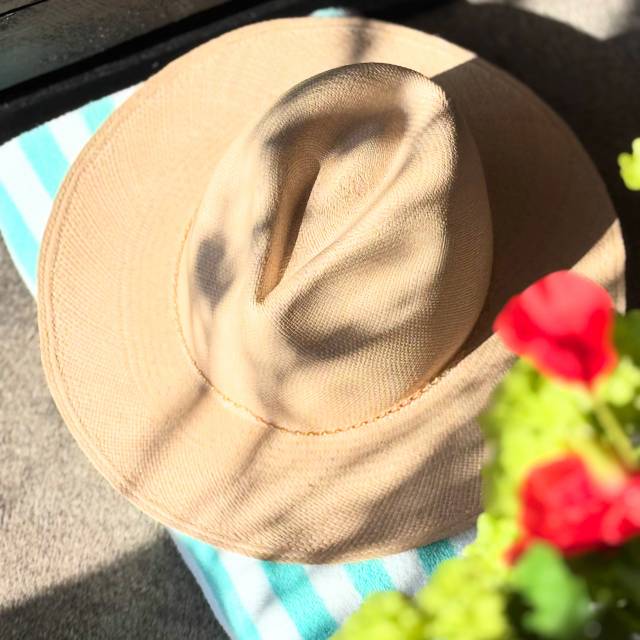 #newin